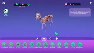 Скриншот 1 к игре IDLE Animal Anatomy