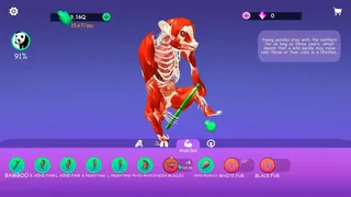 Скриншот 2 к игре IDLE Animal Anatomy