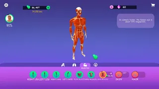 Скриншот 4 к игре IDLE Animal Anatomy