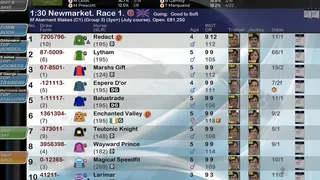 Скриншот 1 к игре Starters Orders Touch Horse Racing