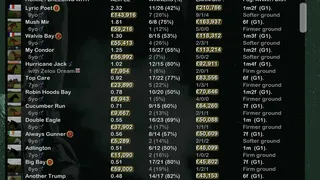 Скриншот 5 к игре Starters Orders Touch Horse Racing