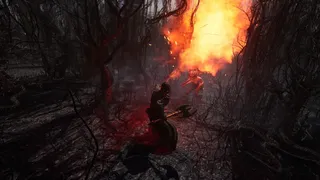 Скриншот 2 к игре Mage Hunt: Spellshifter