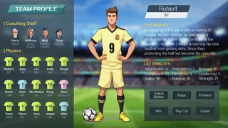 Скриншот 5 к игре Illegal Football