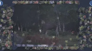 Скриншот 3 к игре Virtual Jigsaw Puzzles - Animals