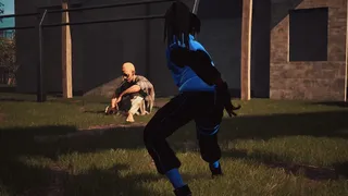 Скриншот 5 к игре Hood Ninja