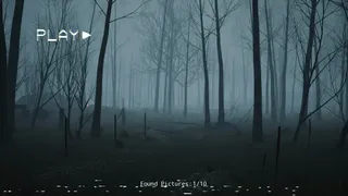 Скриншот 1 к игре Serbian Dancing Lady