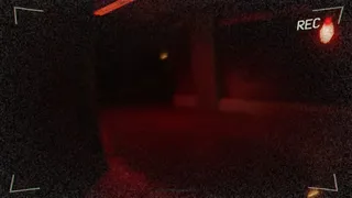Скриншот 2 к игре Inspection