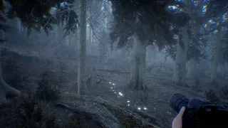 Скриншот 1 к игре Photography Simulator Wildlife Prologue