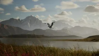 Скриншот 5 к игре Photography Simulator Wildlife Prologue