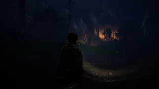Скриншот 3 к игре The Girl Under The Tree: Anna