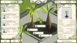 Скриншот 3 к игре Palm Paradise Garden