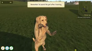 Скриншот 6 к игре Animal Trainer Simulator: Prologue
