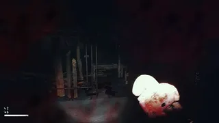 Скриншот 3 к игре Dead Shells