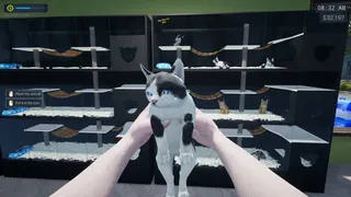 Скриншот 1 к игре Exotica 2: Pet Shop Simulator