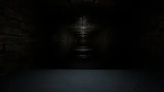 Скриншот 5 к игре The Corridors