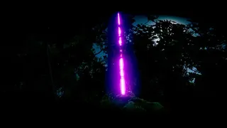 Скриншот 6 к игре The Silent Forests