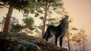 Скриншот 4 к игре Wolf Survival