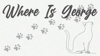 Скриншот 7 к игре Where Is George