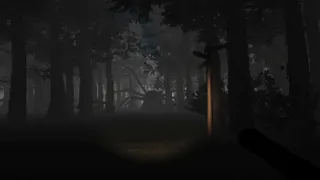 Скриншот 1 к игре Fear of Fear