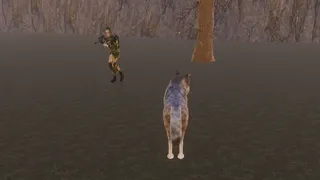 Скриншот 2 к игре The Wolf's Hunt