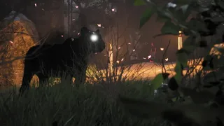 Скриншот 4 к игре Darkest Light
