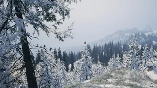 Скриншот 4 к игре Wildwood: Hearth & Horizon