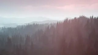 Скриншот 6 к игре Wildwood: Hearth & Horizon