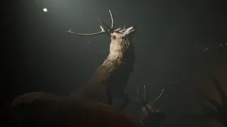 Скриншот 1 к игре Project 13: Taxidermy Trails