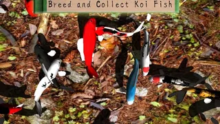 Скриншот 1 к игре Koi Garden