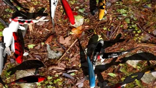 Скриншот 4 к игре Koi Garden