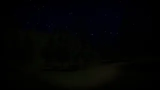 Скриншот 2 к игре The Forest Ranger