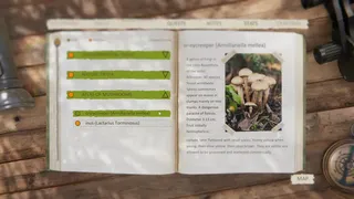 Скриншот 3 к игре Forest Ranger Simulator - Apprenticeship