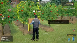 Скриншот 5 к игре Village Dealer Simulator