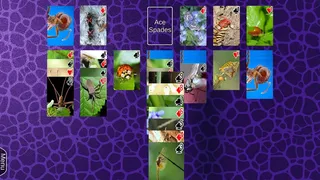 Скриншот 3 к игре Wyvern Studios Solitaire: 30th Aniversary Edition