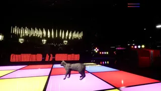 Скриншот 3 к игре Ship's Cat