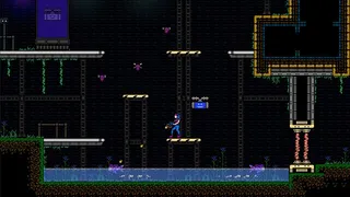 Скриншот 4 к игре SUGAMENIA