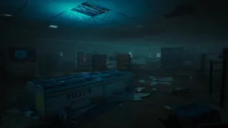 Скриншот 4 к игре Terminator: Survivors