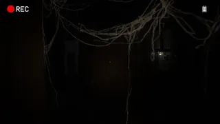Скриншот 7 к игре Death From The Darkness