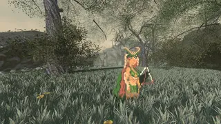 Скриншот 3 к игре Sacred Forest