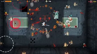Скриншот 7 к игре Rogue Fist