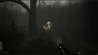 Скриншот 8 к игре Descending The Woods