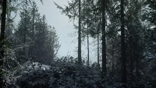 Скриншот 3 к игре Thorgal
