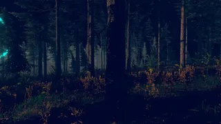 Скриншот 5 к игре Save from Bobr Curve