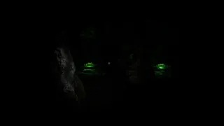 Скриншот 5 к игре What Lurks Inside