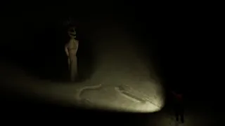 Скриншот 6 к игре Whispers in the Shadows