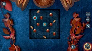 Скриншот 3 к игре Криминальные архивы: Книжное убийство Коллекционное издание