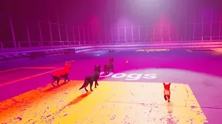 Скриншот 4 к игре Claw Clash: Cat vs Dog Betting