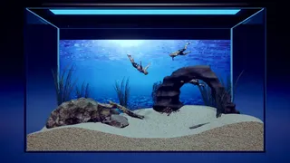 Скриншот 1 к игре Мачориум -Мышечный аквариум симулятор-