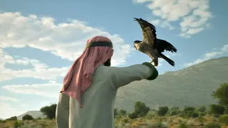 Скриншот 2 к игре Enter Falconry