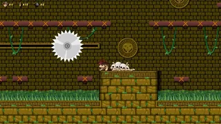 Скриншот 4 к игре RISKY CHRONICLES and the curse of destiny